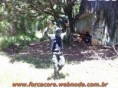 /album/galeria-de-fotos/jogo-09-01-2011-35-jpg/